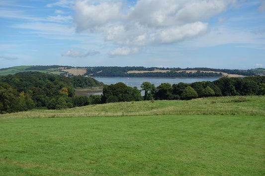 5 Beautiful Walking Trails to Find this Summer - Lighthouse