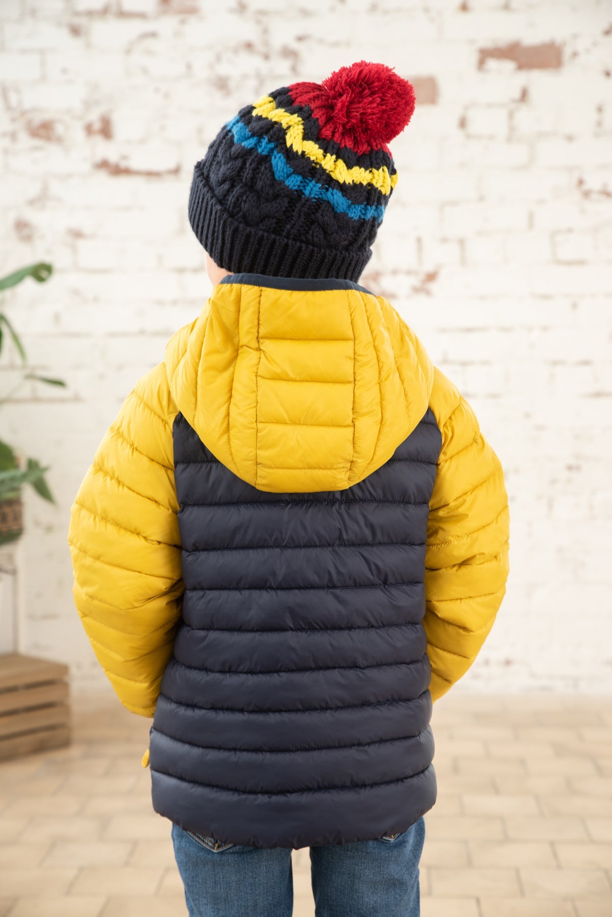 Carter Coat - Navy Yellow-Lighthouse
