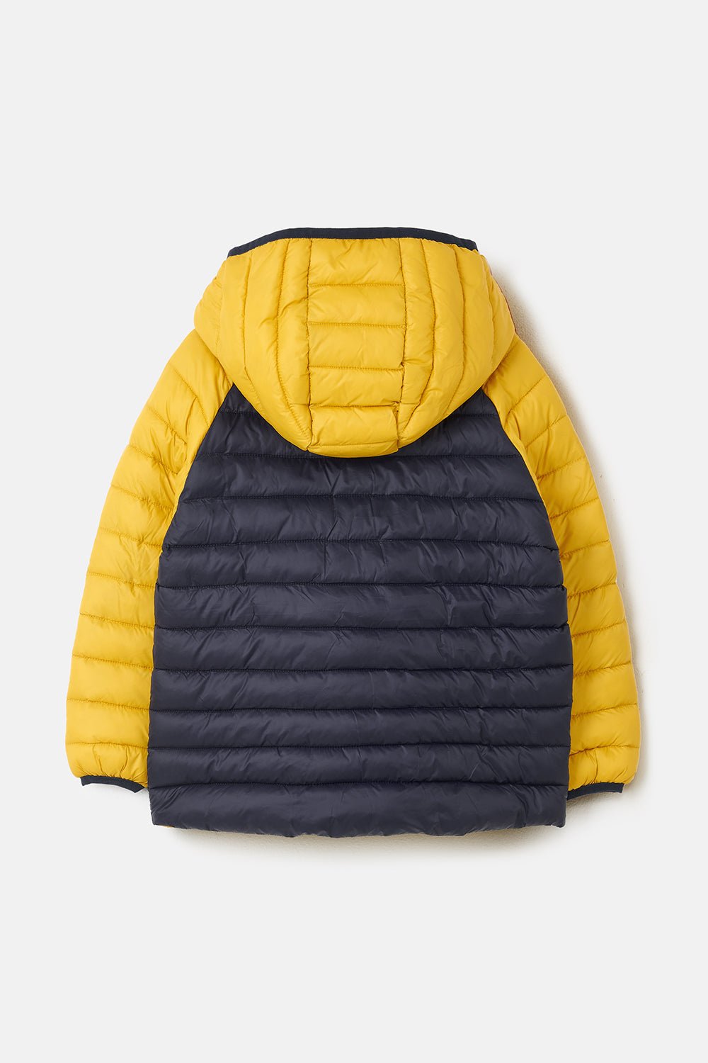 Carter Coat - Navy Yellow-Lighthouse