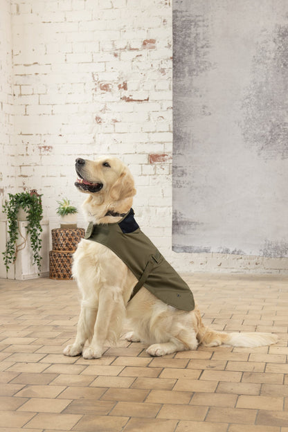 Heritage Dog Coat - Fern-Lighthouse