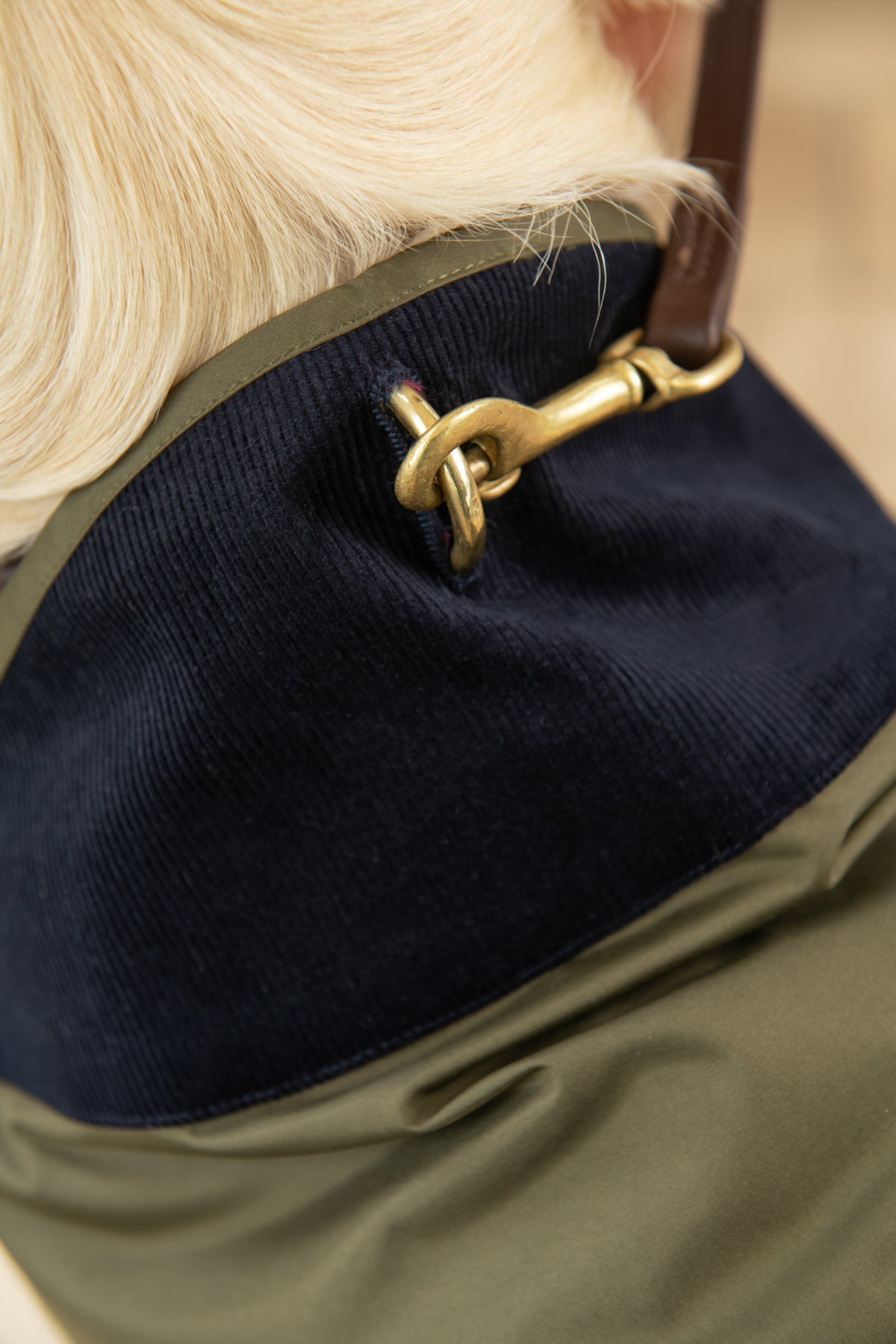 Heritage Dog Coat - Fern-Lighthouse